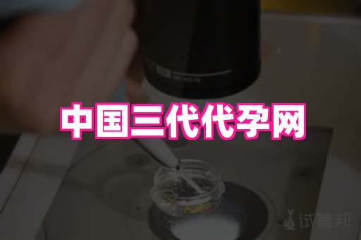 杭州助孕网站 2